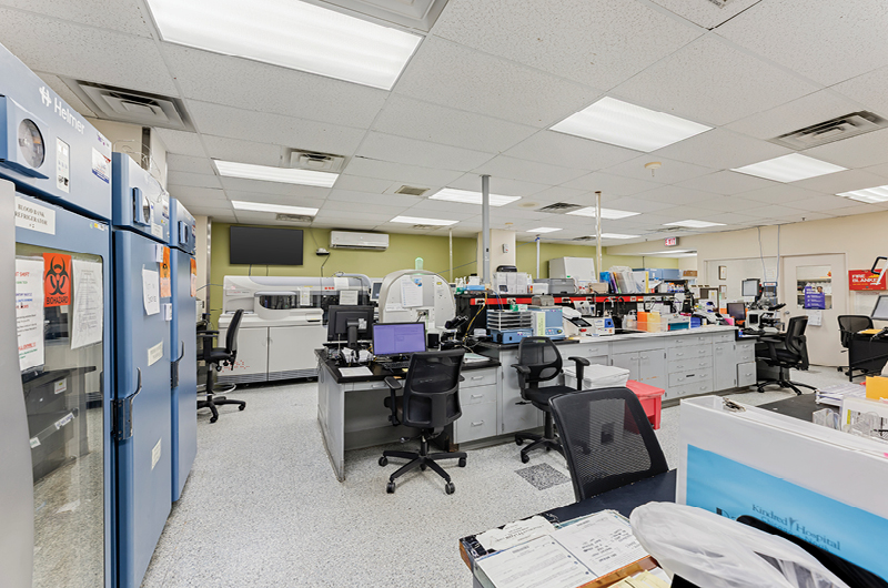 Lab