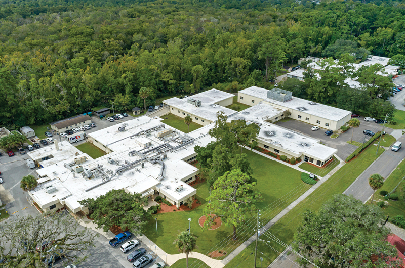Grounds