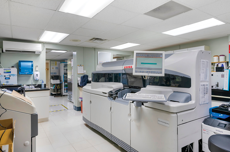 Lab