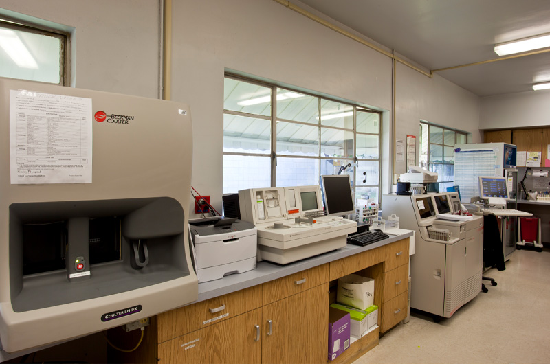 Lab