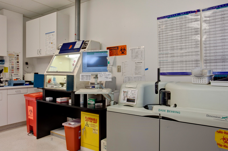 Lab