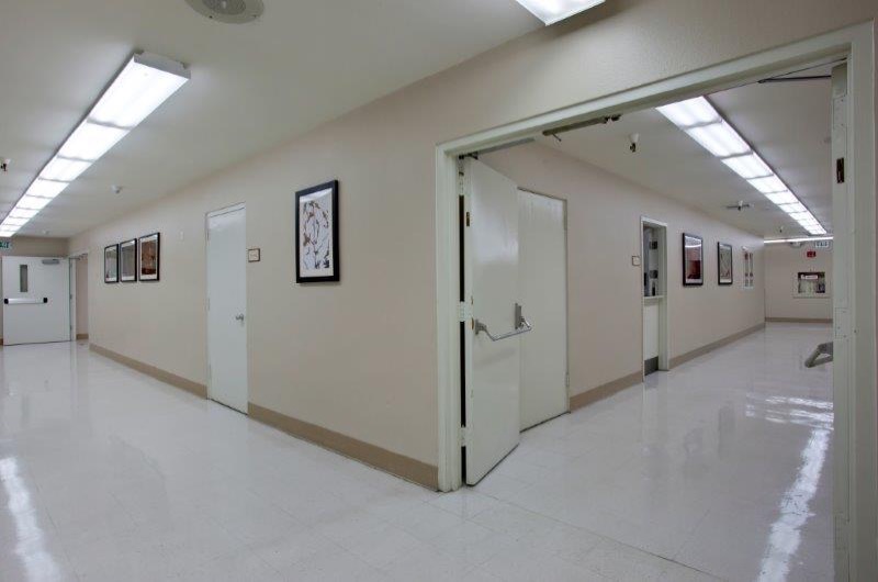 Hallway 2 - South Bay