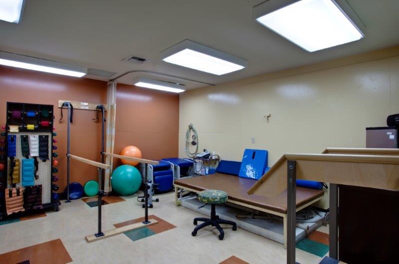 Physical Therapy 1 - South Bay