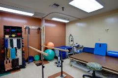 Physical Therapy (4)